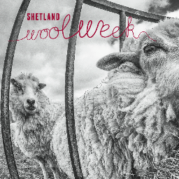 Nine days (28 Sept- 6 Oct 2019) dedicated to celebrating the wool of Britain’s most northerly native sheep, Shetland’s textile industries & farming communities.