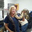 Lisa Pohlman - @lpohlmandvm - Twitter