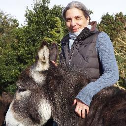 Independent film maker and translator.  
Fundraising for Sue's Zoo, a docu about animal welfare, donkeys and more.
http://t.co/P0KUWmfK0k