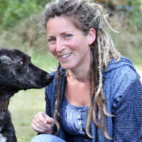 Dr Rachel Bragg (@rachelbragg6) 's Twitter Profile