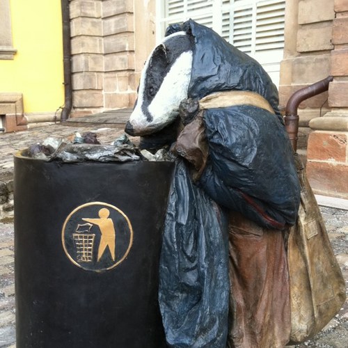 Corrie_Vis's profile picture. 