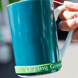 The Living Green Festival - a kinder shade of green / / / will be back on Sun 4th Oct 2015 at Albert Hall
