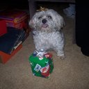 Ryan Keiser - @MonkeyMan1627 - Twitter