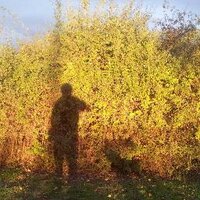 José Luis Rodríguez (@jartopuma) 's Twitter Profile
