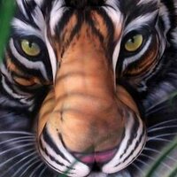 Belinda Ledger (@moo122430) 's Twitter Profile
