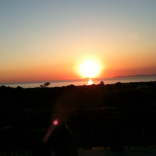 pippi's profile picture. 