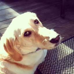 xxxmammamiaxxx's profile picture. Retired music teacher beginning Chapter 2 and having a blast!  "To hope is to recognize the possibilities."