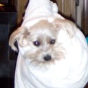 Bradley Bender - @DrBBen - Twitter