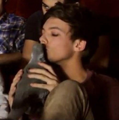 Hello I'm 1/6 of One Direction. I pooped in your head. Do you remember me?