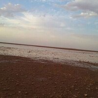 عبدالرحمن العليقي (@abdulra14974984) Twitter profile photo