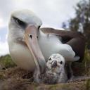 clare ryan - @lottiemulvany - Twitter