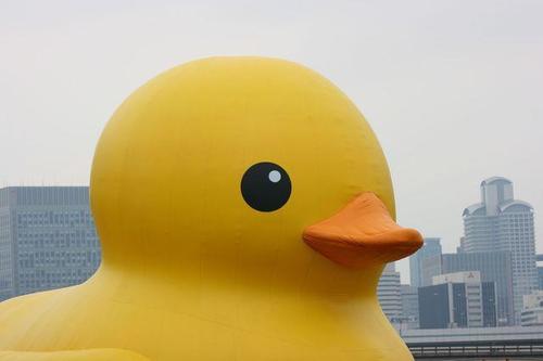 藤田麻衣子さん推してます
大阪住みのおっさんです
バツイチの55歳
1人が寂しくなってきた