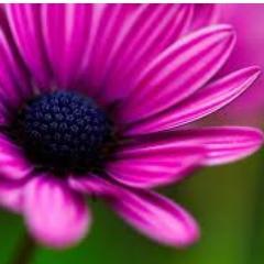 VylitMag's profile picture. Always Wear Your Invisible Crown.