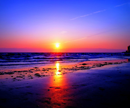 makitom79's profile picture. 