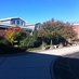 Southold Elementary (@southoldelem) Twitter profile photo Southold Elementary (@southoldelem) Twitter profile photo