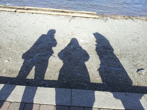 TPreedy's profile picture. 