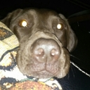 Kat Parsons - @soaringshrimp - Twitter