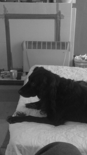 bls_bmx's profile picture. bexxi.lyricist. rapper. joker.