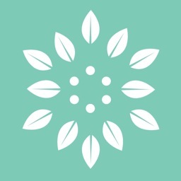 Bella Reel creates hand-crafted wedding films for the modern couple.

we want to work with fun people
who want to work with fun people