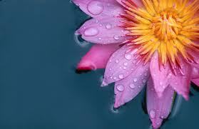 Amberjones713's profile picture. 