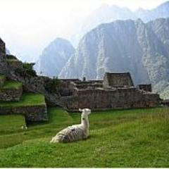 Margot Russell Hanrahan is a Certified International Tour Director and owner of Blue World Journeys.  She specializes in tours to Machu Picchu.