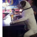 Caleb Gustafson - @mplscaleb - Twitter