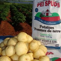PEI Spuds (@visserspuds) 's Twitter Profile