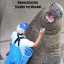 Craig Sharp - @CraigTheGinger - Twitter