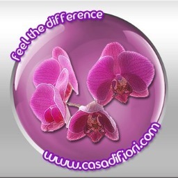 CasadiFiori's profile picture. 