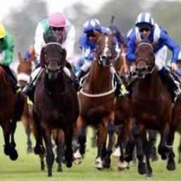 STARRBETS TODAY for free. http://t.co/dxPI3maf and recieve free tips.