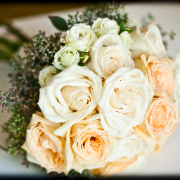 proposalmag's profile picture. proposal is a wedding blog managed by production coordinator & wedhead shannon swanson @filmconcierge