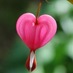 lovingnotfighting (@destinysdoor) Twitter profile photo lovingnotfighting (@destinysdoor) Twitter profile photo