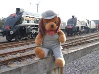 Hi, I'm Casey Jones and I just love A4 Pacifics! I also like lots of other steam engines.