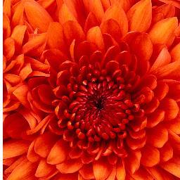 03boymom's profile picture. 