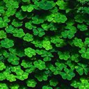 Jonell Murphy - @JoJo51412 - Twitter