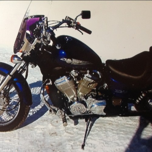 600Shadow's profile picture. shy, midwestern, homeschooling, motorcycle riding mom