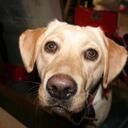 Chase Chandler - @cchandler0409 - Twitter