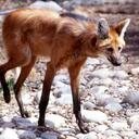 Taylor Brizendine - @Anthromation - Twitter