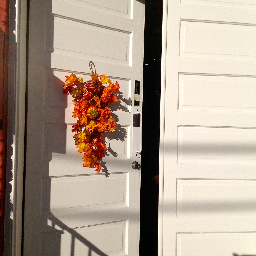 LongmontYarn's profile picture. 