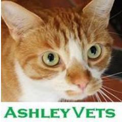 AshleyVets