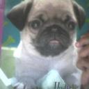 hailyn valezka gutie (@09Gutie) Twitter