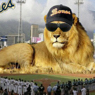 CREYENTE EN DIOS,FANÁTICO DEL BÉISBOL Y DEL BALONCESTO,(LEONES Y GIGANTES) , APASIONADO POR LA RADIO, LOCUTOR UCV, ADMINISTRADOR, EL HIJO e PETRICA !!