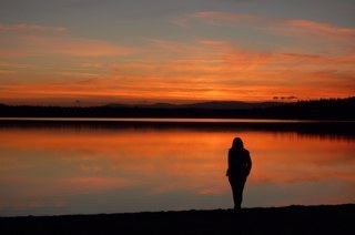 LindaPaechter's profile picture. Labels: Lecturer; parent; autism advocate; allotmenteer. Inspired by power of twitter to deliver positive feedback to random strangers & sarcasm to friends