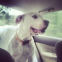 patrick townsend - @sleezyp - Twitter