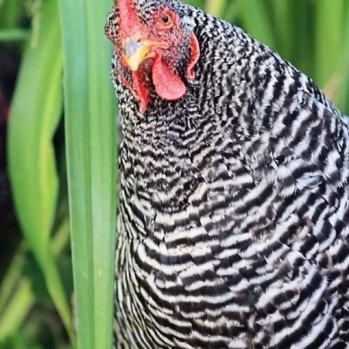 tanyateeter's profile picture. 