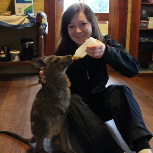 taylornorbury's profile picture. 