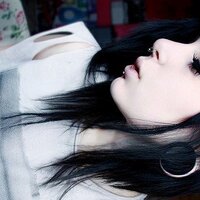 Os Crivo (@oscrivo_) 's Twitter Profile