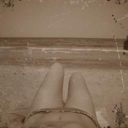 marofegil's profile picture. 