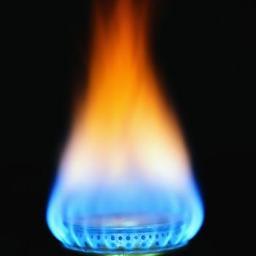 wsunaturalgas's profile picture. We are #WayneStateStudents participating in a campaign against other universities to promote the benefits of natural gas. Please follow us to help us win.