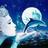 alondra3224's profile image
